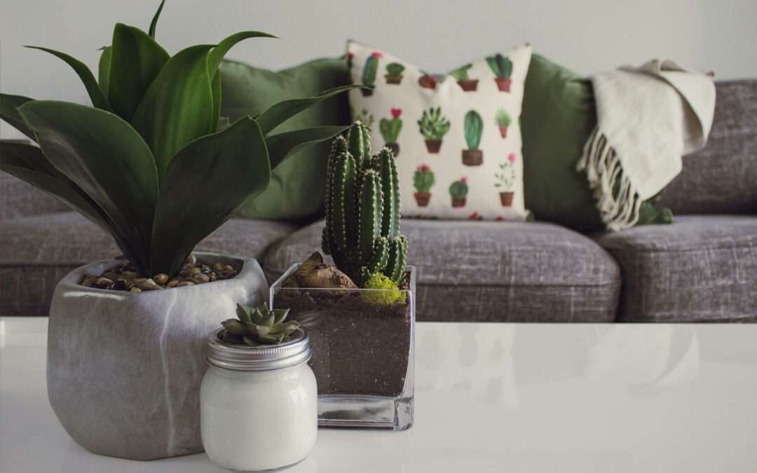 Hoe creëer je een ontspannen sfeer in huis met natuurlijke elementen